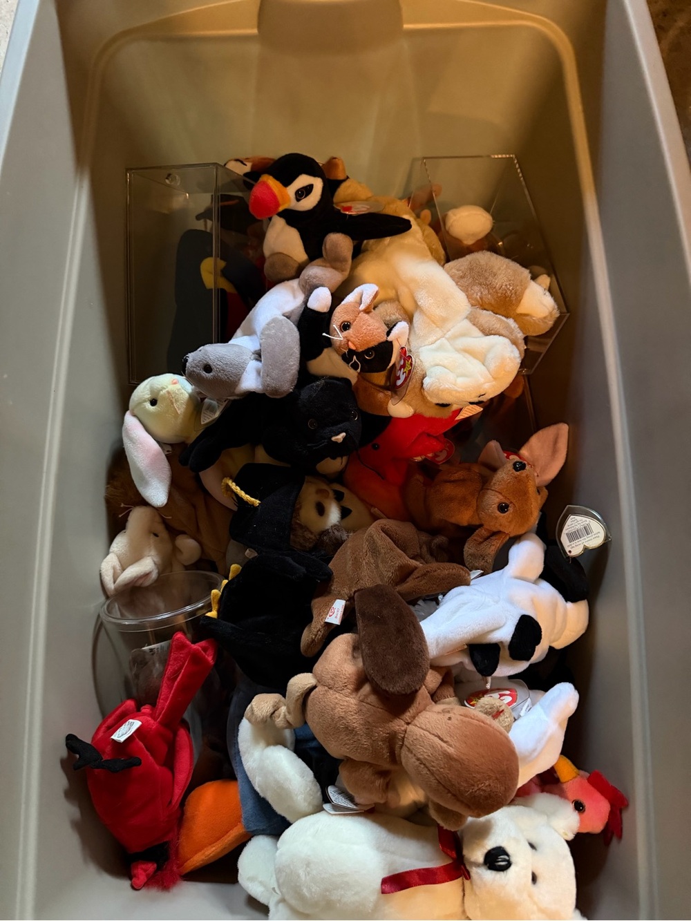 Plush TY beanie babies Stuffed Animal Assortment - Multicolor